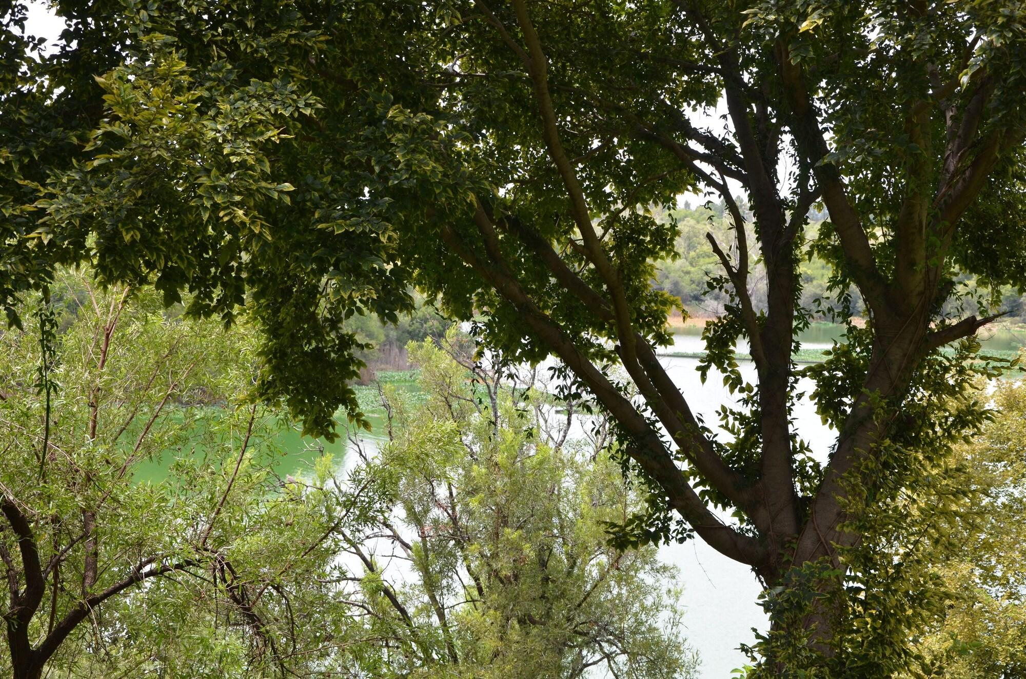 Premier Hotel Roodevalley Pretoria-Noord Dış mekan fotoğraf